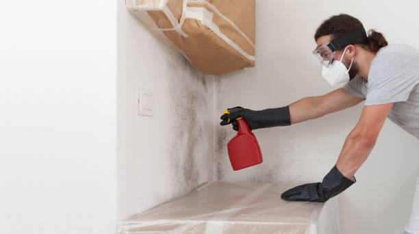 Professional Commercial Mold Remediation technician working in Ridgefield Park, NJ